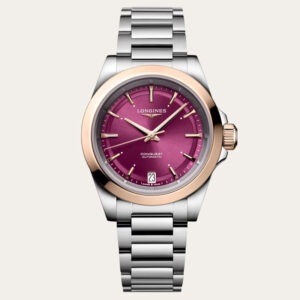 LONGINES Conquest Ladies Watch [L3.430.5.98.6]